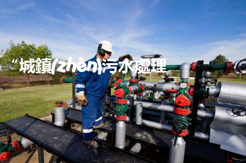 “城鎮(zhèn)污水處理污泥變廢為寶，助力綠色環(huán)保新篇章”